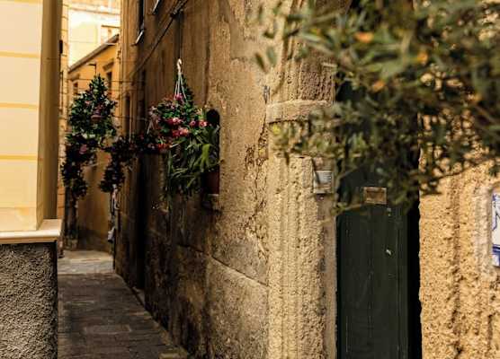 Radici Tropea 1
