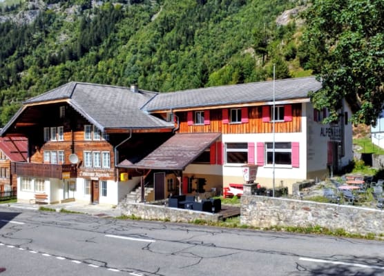 Gadmen Alpenrose Switzerland 1
