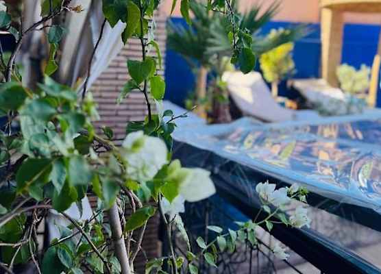 RIAD MAMAHOUSE 1