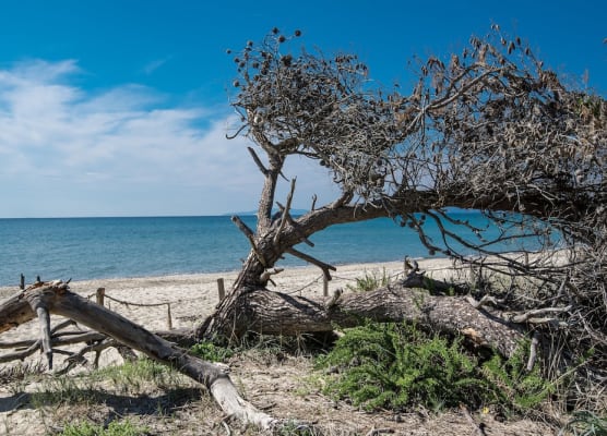 Villaggio Mare Verde 1