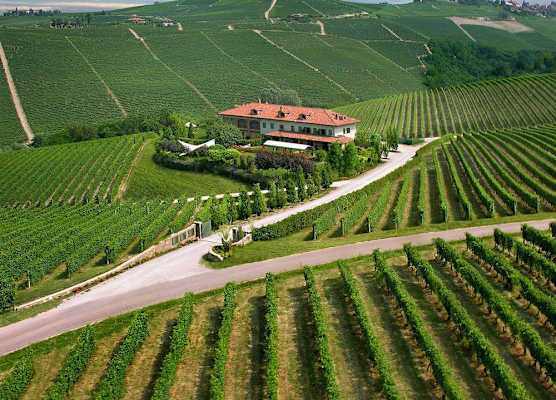 Tenuta Baràc 1