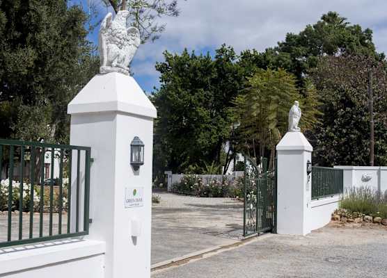 Green Olive Guesthouse 1