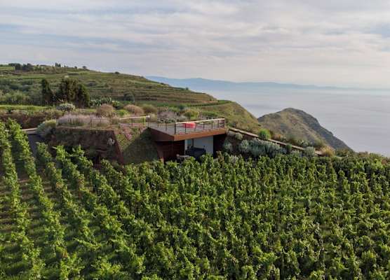 Tenuta di Castellaro Winery & Resort 1