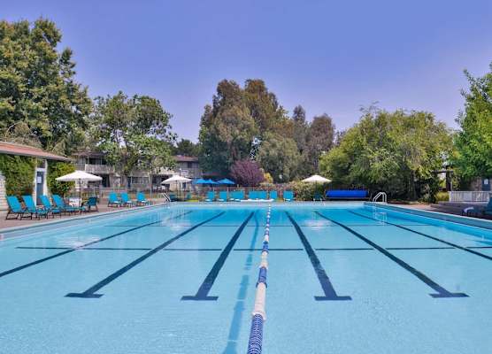 Best Western Corte Madera Inn 1