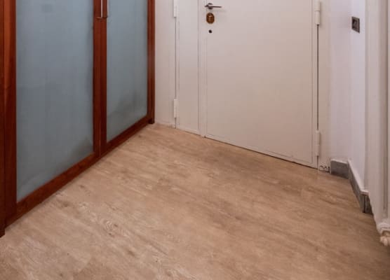 Wonder Cozy Studio 1