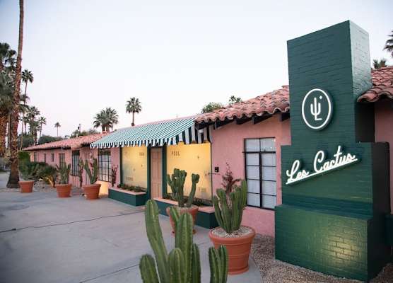 Les Cactus 1