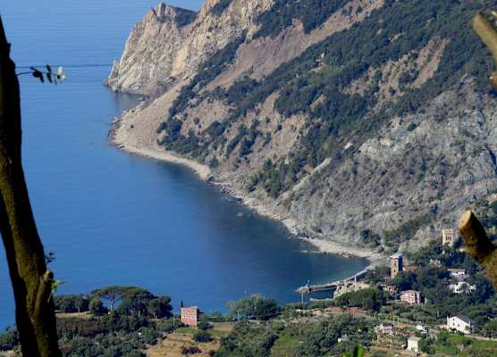 I Lecci Di Soviore 1