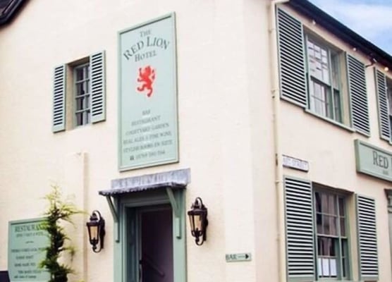The Red Lion 1