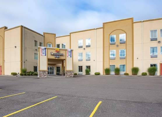 Comfort Inn Apalachin - Binghamton W Route 17 1