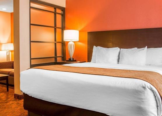 Comfort Inn & Suites and Conference Center 1