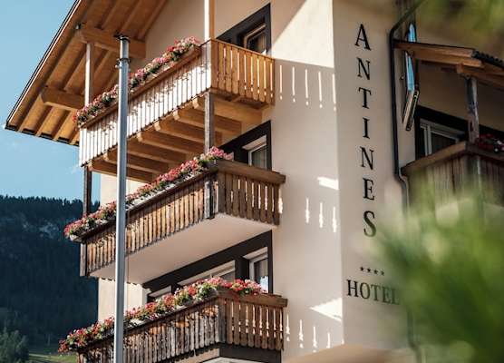 Hotel Antines 1