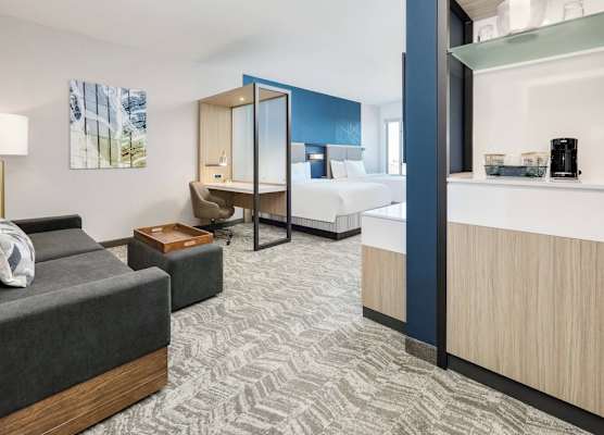 SpringHill Suites by Marriott Dallas Mansfield 1