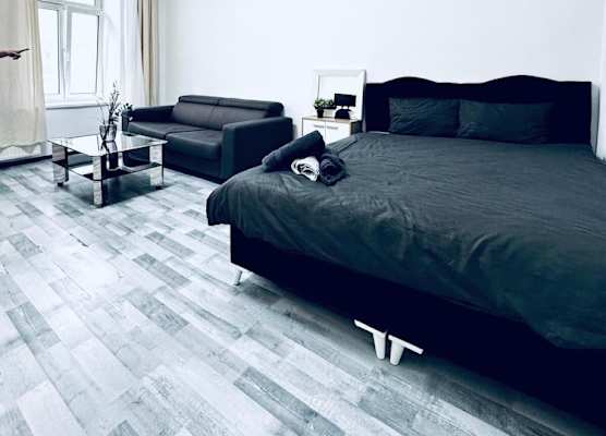 Beautiful Studio Apt Near Rathausplatz 1