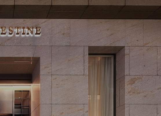 Hotel The Celestine Ginza 1
