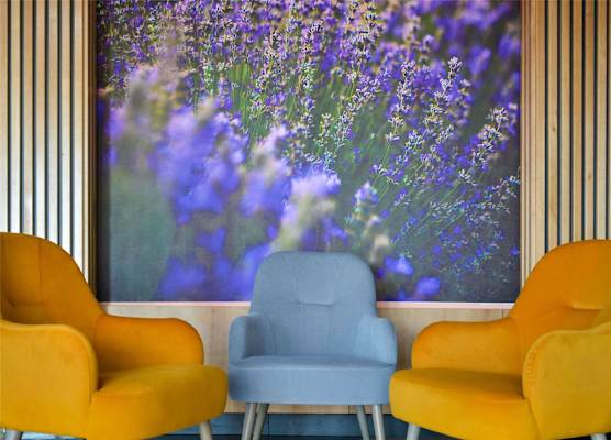 Mercure Medias Binderbubi Hotel And Spa 1