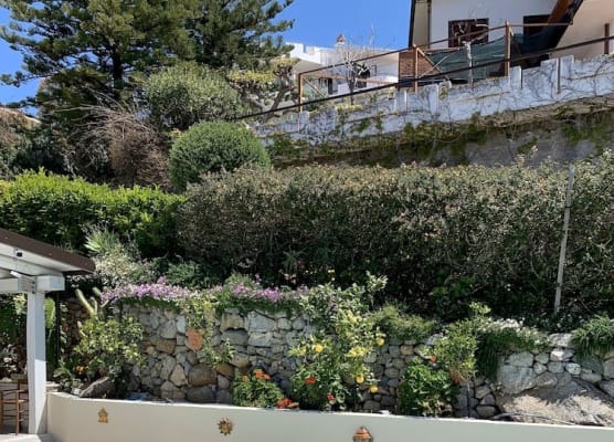 HOTEL MERCURIO SUL MARE - Fish restaurant and private beach 1