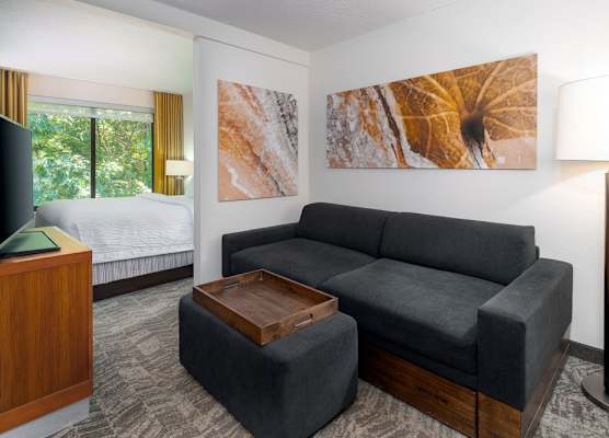 SpringHill Suites Asheville 1