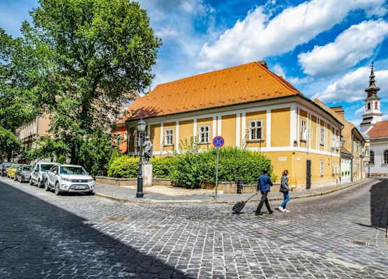 Giselle Buda Castle 1
