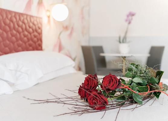 Hotel Giulietta e Romeo ***S 1