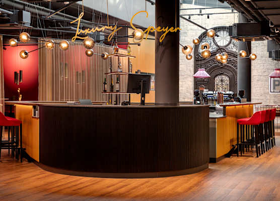 Amedia Plaza Speyer a Trademark by Wyndham 1