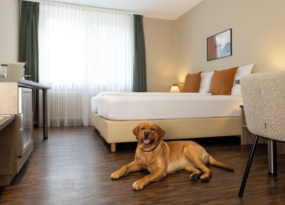 homie hotel fischzucht 1
