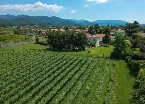 Villa Franca in Franciacorta B&B 1
