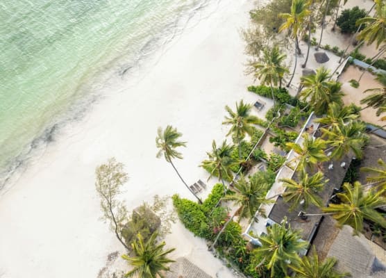 Surfescape Zanzibar 1