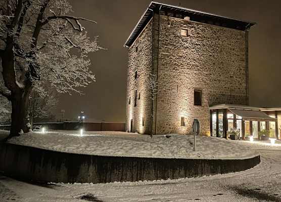 Hotel Torre Zumeltzegi 1