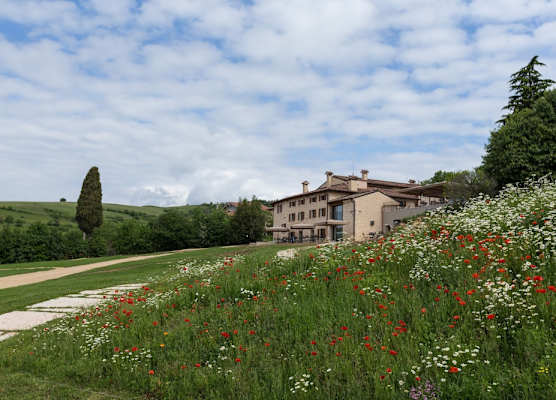 La Collina dei Ciliegi 1