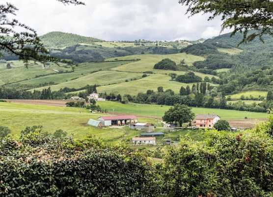 Tenuta Borgo San Michele 1