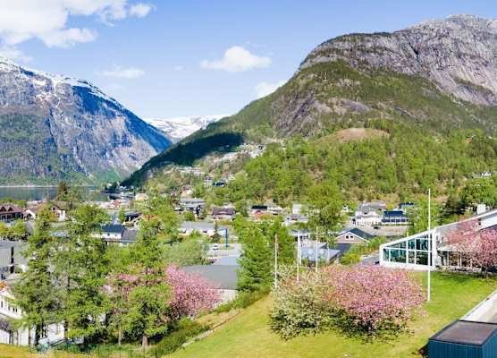 Eidfjord Hotel 1