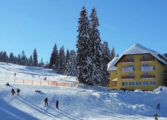 Burg Hotel Feldberg 1