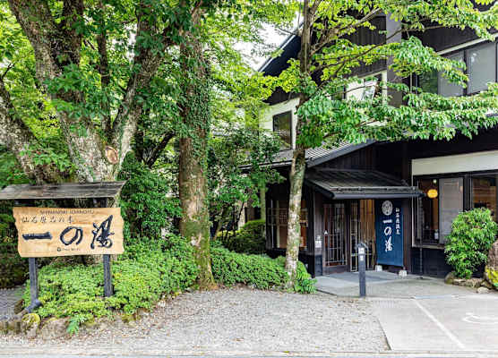 Sengokuhara Shinanoki Ichinoyu 1