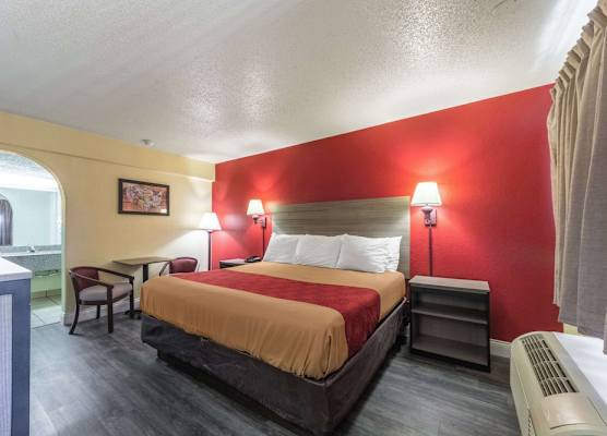 Econo Lodge San Marcos University Area 1