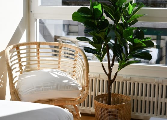 Hotel Celta 1