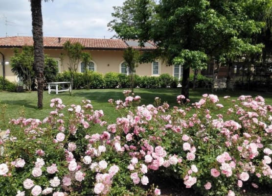 Tenuta Agriturismo La Borina 1