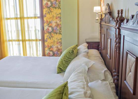 Hotel Rosaleda Don Pedro 1