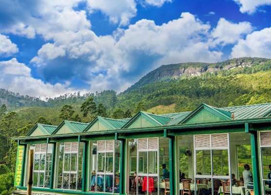 Punsisi Resort - Delhousie Adamspeak 1