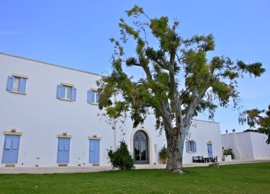 Masseria Montelauro 1