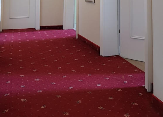 The Little Guesthouse 1