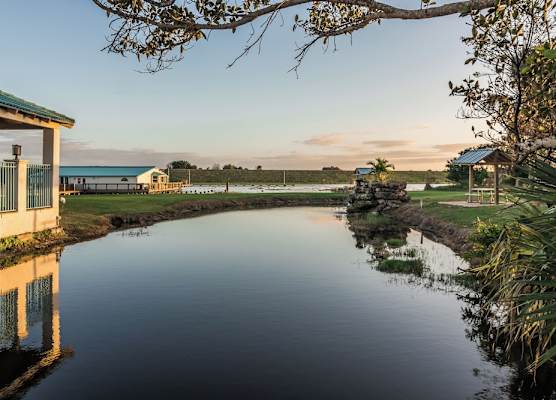 Lakeshore Resort and Marina 1