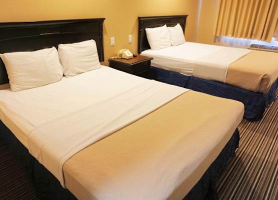 Hollywood Inn Express South 1