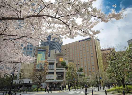 Hotel Metropolitan Edmont Tokyo 1