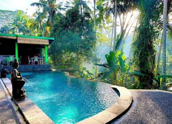 Dupa Ubud 1