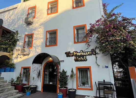 The Professor's Hotel 1