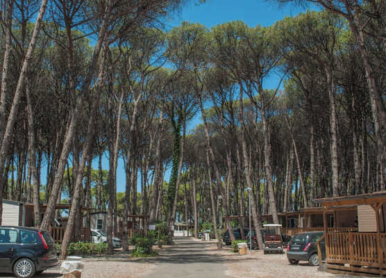 Camping Village Mare Pineta 1
