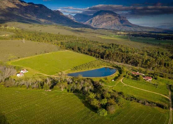 Fraaigelegen Farm - Home of ADHARA EVOO 1