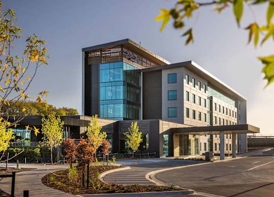 DoubleTree By Hilton Auckland Karaka 1