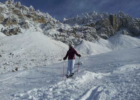 DOLOMITES B&B - Suites, Apartments and SPA 1