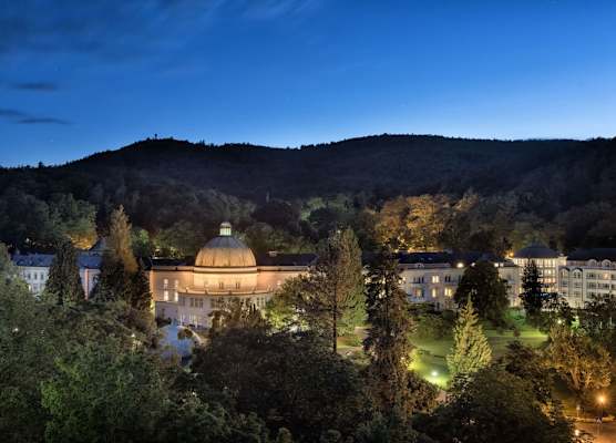 Maritim Hotel Bad Wildungen 1
